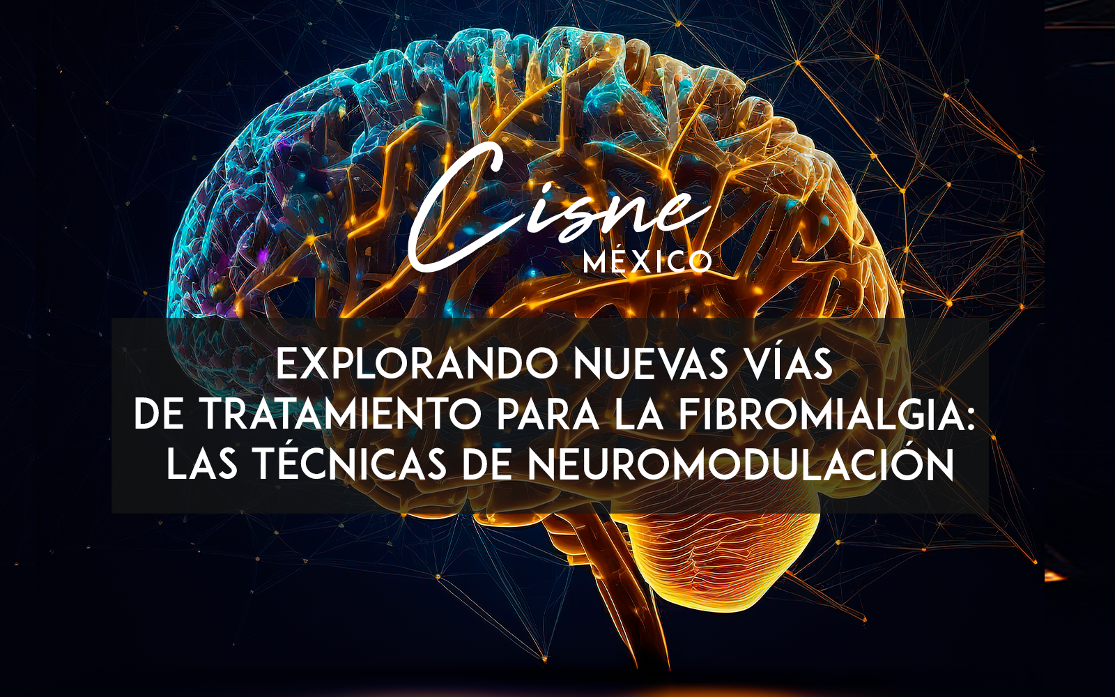 Explorando Nuevas Vías de Tratamiento para la Fibromialgia: Las Técnicas de Neuromodulación