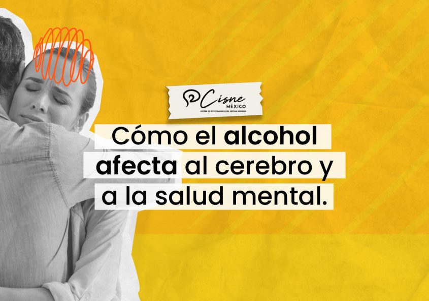 Cómo el alcohol afecta al cerebro y a la salud mental: lo que dice la evidencia | CISNE